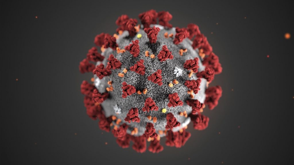 An illustration created by the Centers for Disease Control and Prevention shows the structure of the coronavirus now named COVID-19. Source: ScienceSource.com